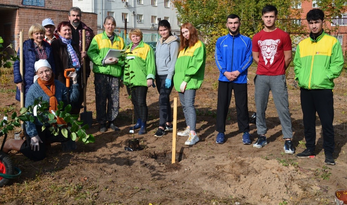 Закладка сада