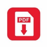 pdf ico